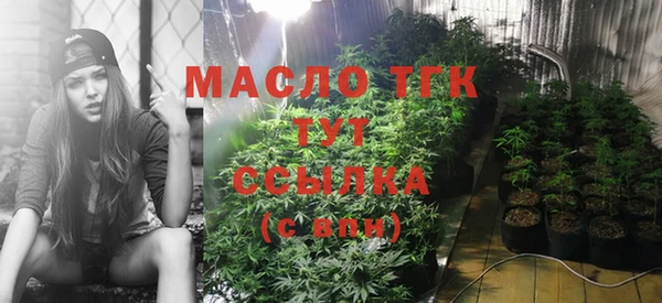 гидра Белоозёрский