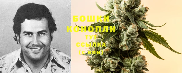 гидра Белоозёрский