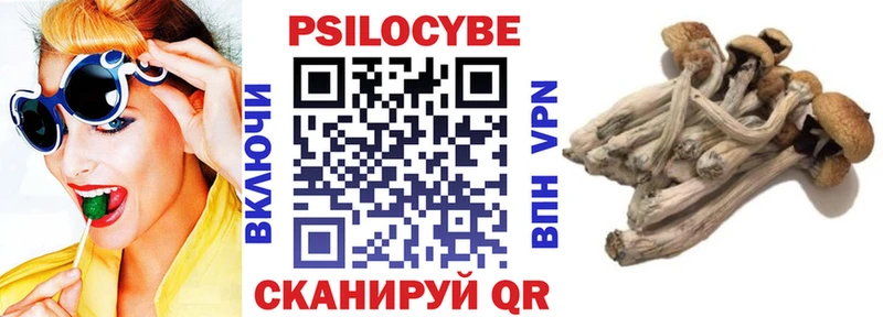 Псилоцибиновые грибы мицелий Купить Железноводск