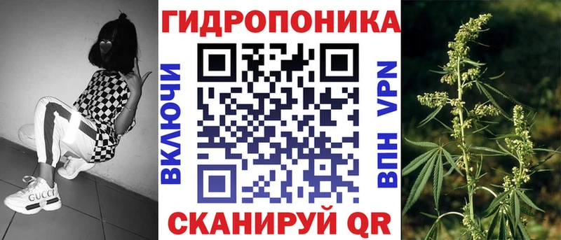 Бошки Шишки ГИДРОПОН  Купить где  Железноводск 